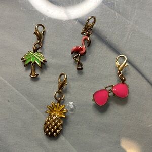 Set of Tropical Themed Charms